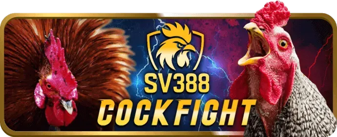 Cá cược tennis Grand Slam tại K9BET Code